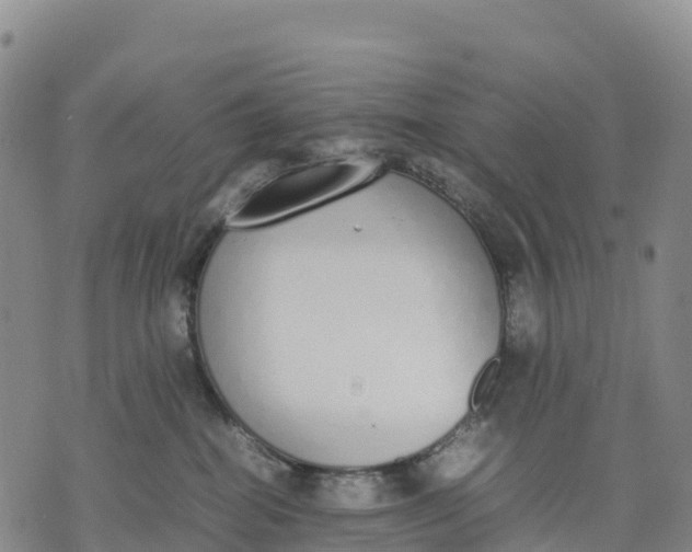 X0000070380282200606231720