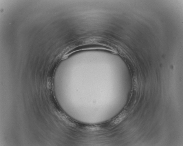 X0000070380284200606231720