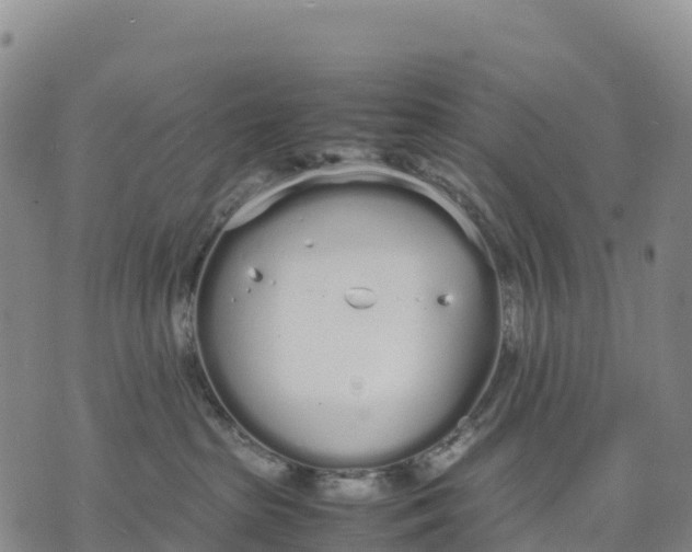 X0000070380285200606231720