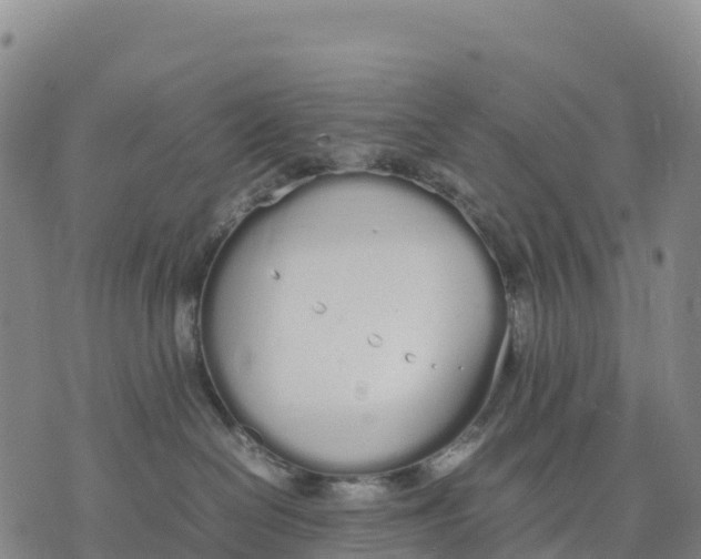 X0000070380286200606231720