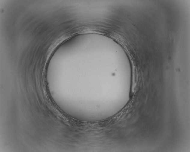 X0000070380289200606231719