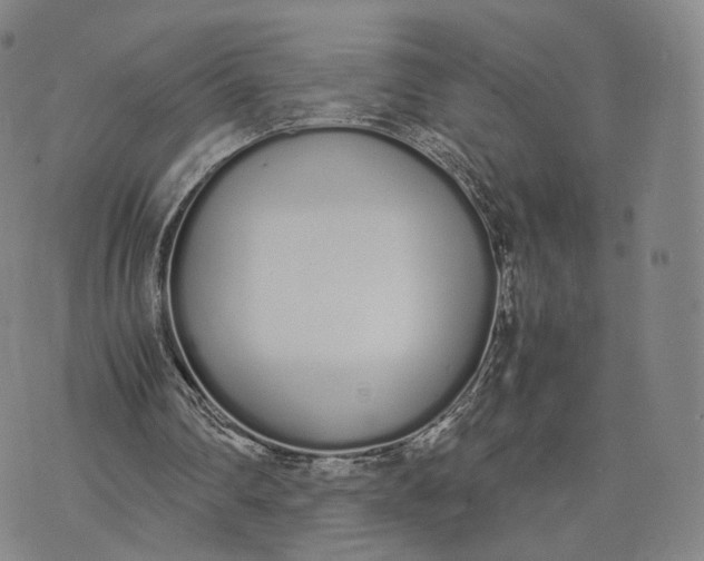 X0000070380290200606231719