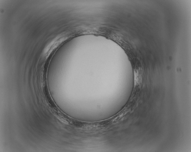 X0000070380291200606231719