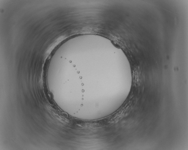 X0000070380292200606231719