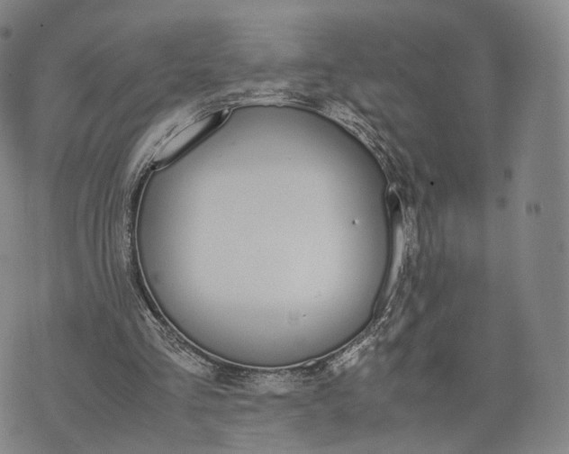 X0000070380293200606231719