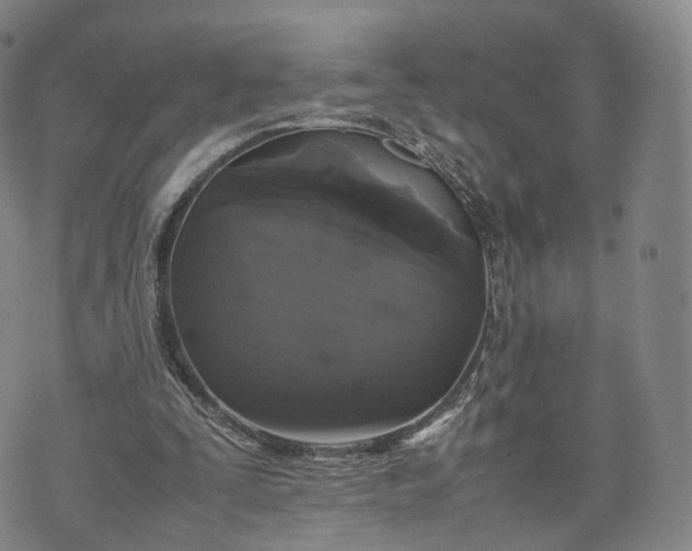 X0000070380295200606231719