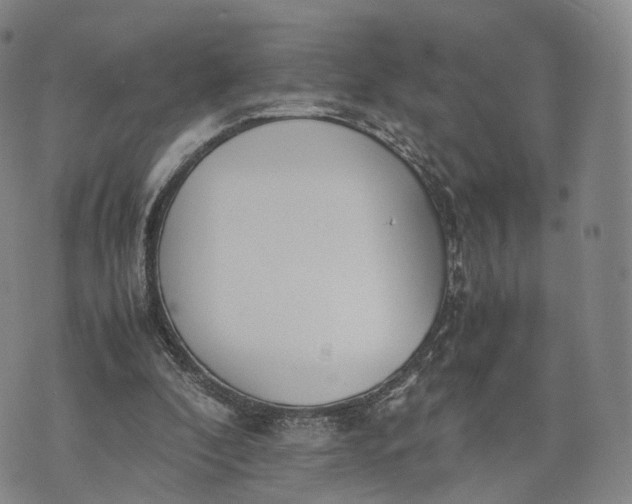 X0000070380296200606231719