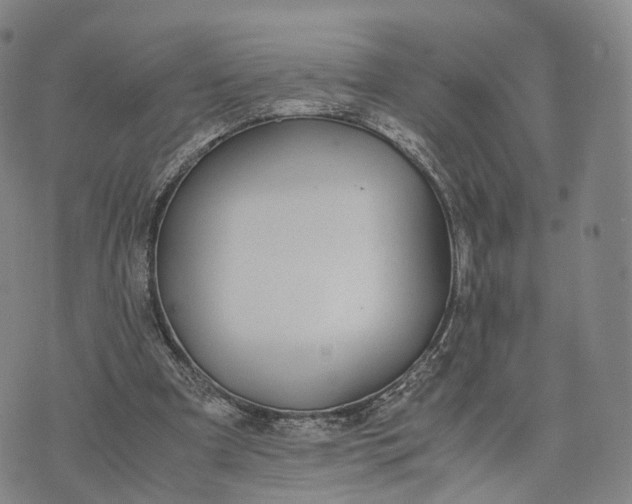 X0000070380297200606231719