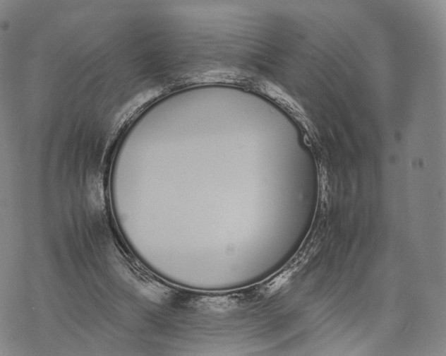 X0000070380298200606231719