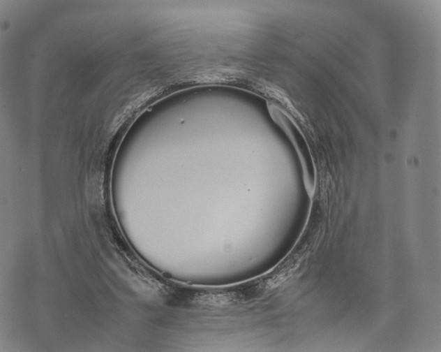 X0000070380299200606231719