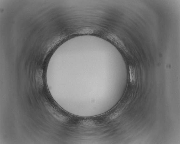 X0000070380300200606231719