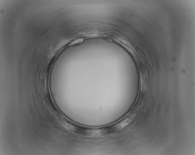 X0000070380301200606231719