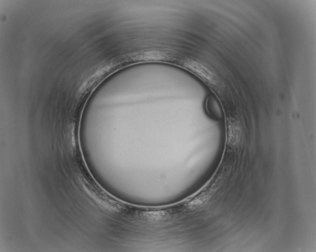 X0000070380302200606231719