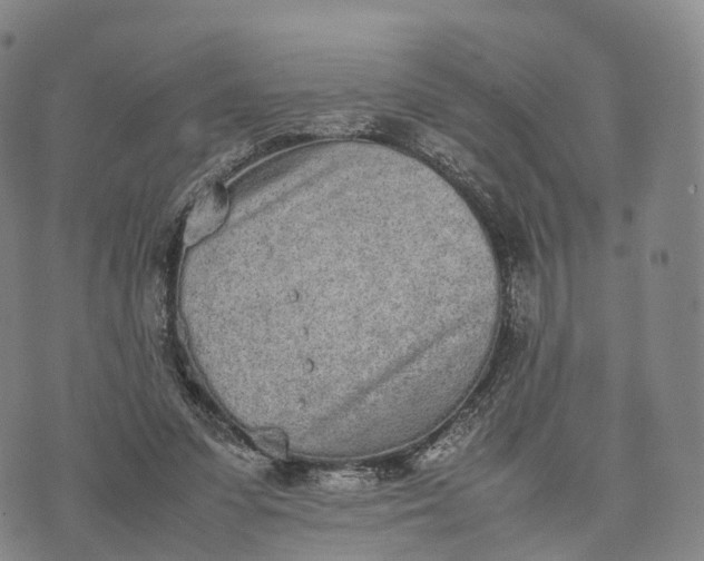 X0000070380303200606231719