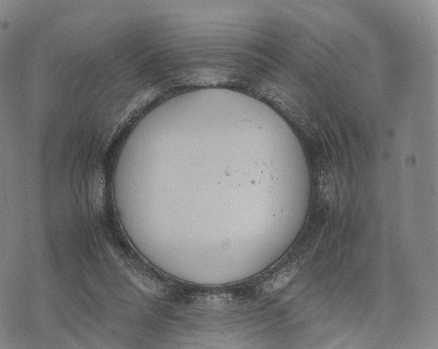 X0000070380304200606231719