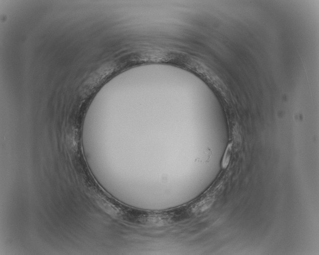 X0000070380305200606231719