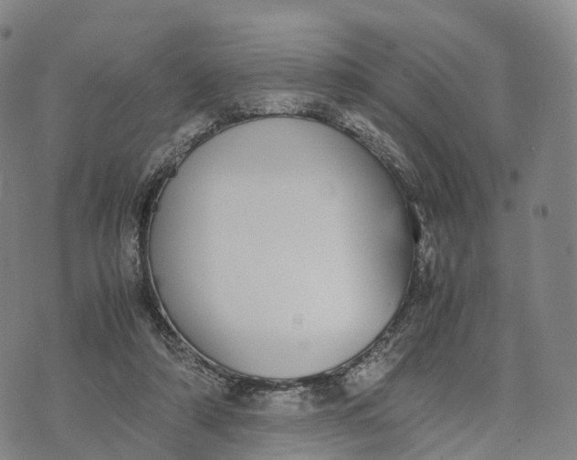 X0000070380306200606231719