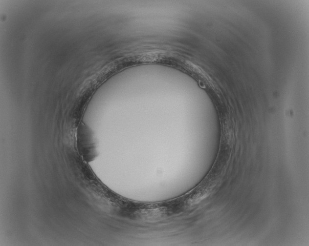 X0000070380307200606231719