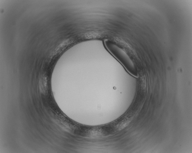 X0000070380308200606231719