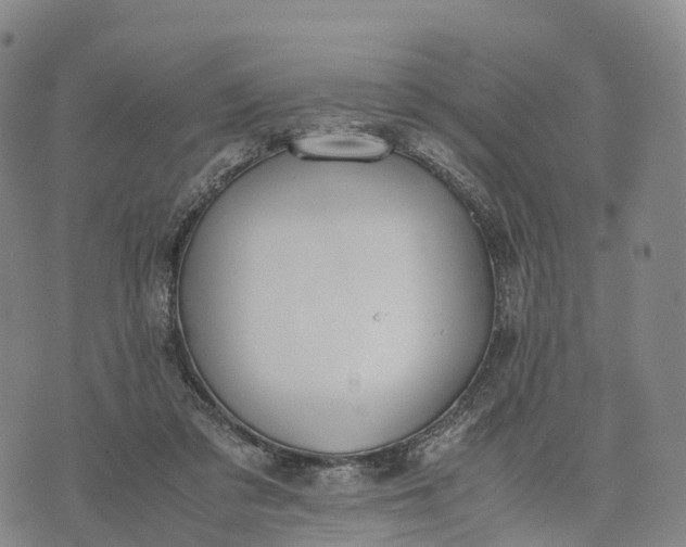 X0000070380309200606231719