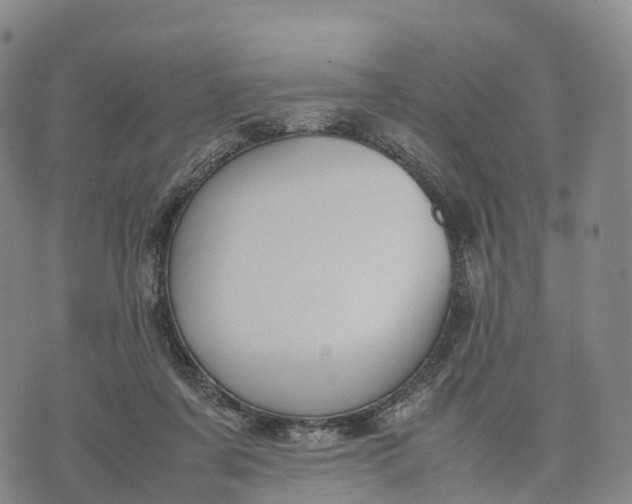 X0000070380311200606231719