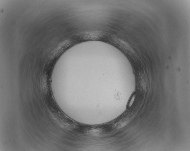 X0000070380312200606231719