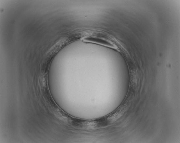 X0000070380313200606231719