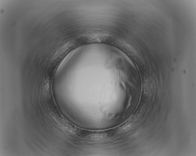 X0000070380314200606231719