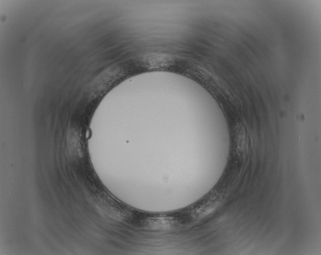 X0000070380316200606231719