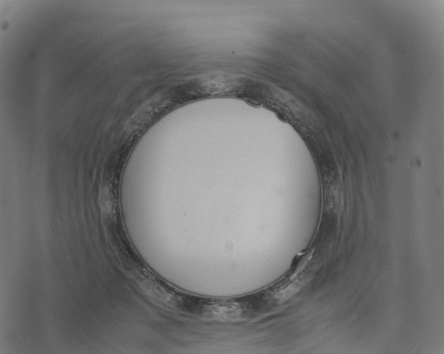 X0000070380317200606231719