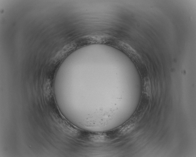 X0000070380318200606231719