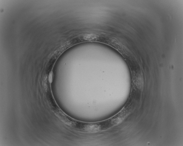 X0000070380319200606231719