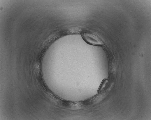 X0000070380321200606231719