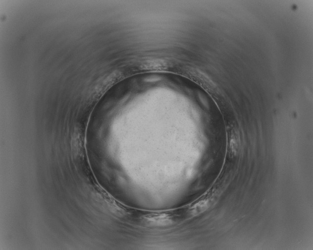 X0000070380322200606231719