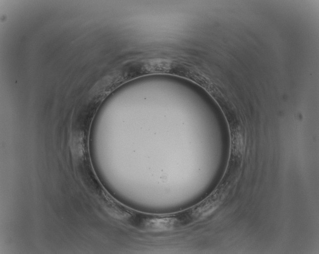 X0000070380323200606231719