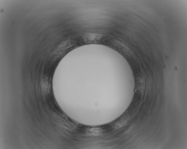 X0000070380324200606231719