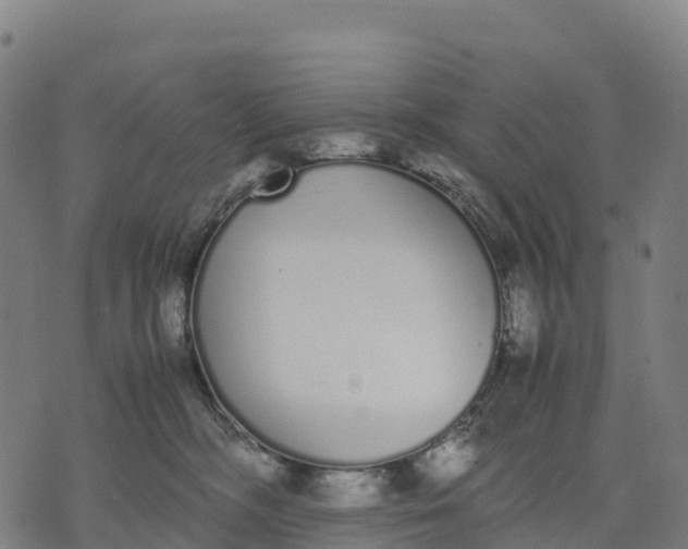 X0000070380326200606231719