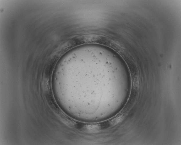 X0000070380327200606231719