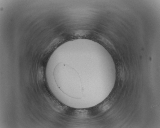 X0000070380328200606231719