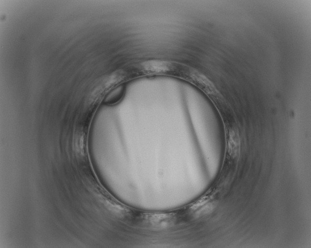 X0000070380330200606231719