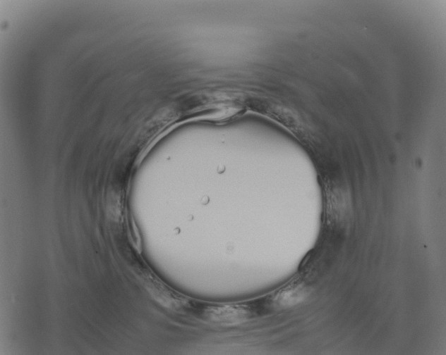 X0000070380331200606231719