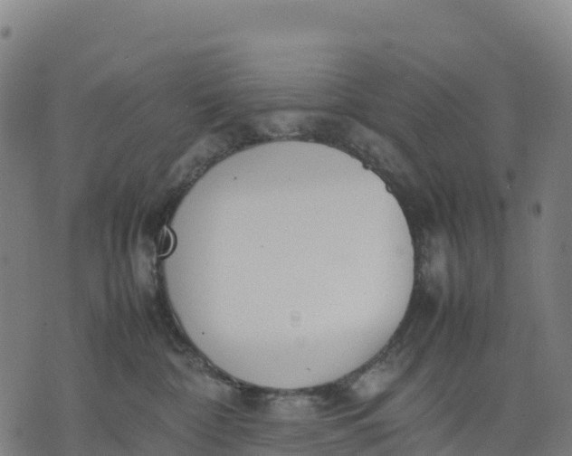 X0000070380332200606231719