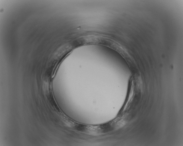 X0000070380333200606231719