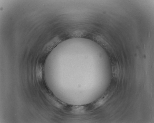 X0000070380334200606231718