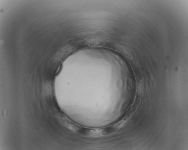 X0000070380335200606231718