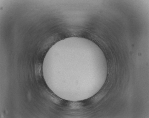 X0000070380336200606231718