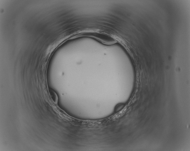 X0000070380337200606231718