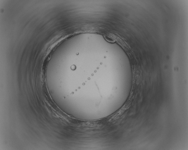 X0000070380338200606231718