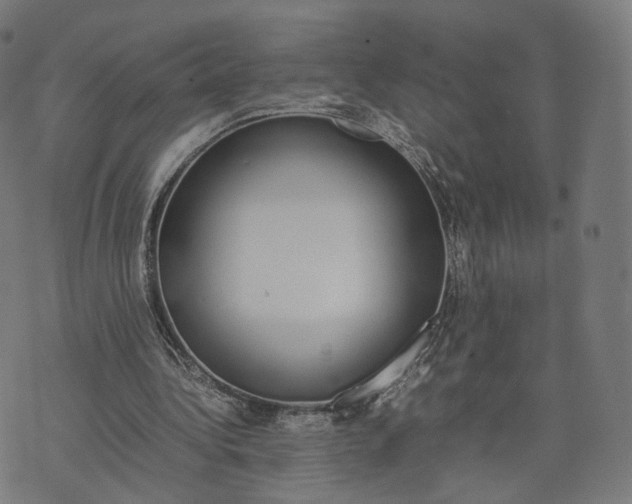 X0000070380340200606231718