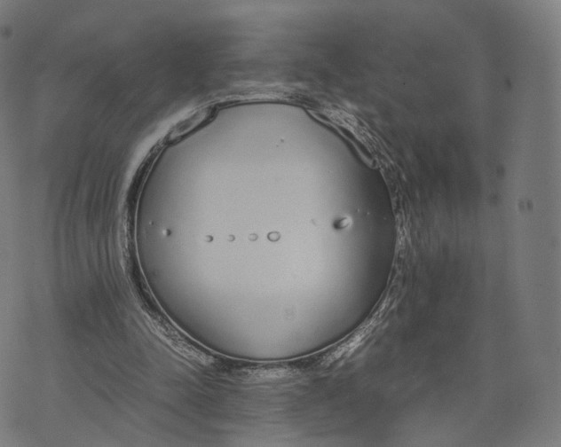 X0000070380342200606231718